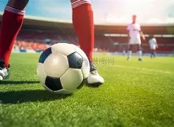 英超情报,纽卡中场核,心疑战,网球即时比分,网球赛事数据,网球比赛平台,网球赛事资讯,网球赛事中心