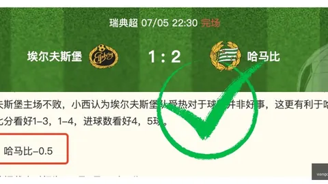 02世代激战正酣陈雨菲，网球比赛平台，、山口茜对决，中国公开赛女单亚军花落谁家